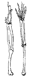 Comparaison