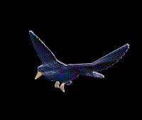 Animation du vol d'un oiseau